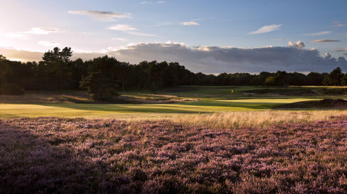 What is a Heathlander?