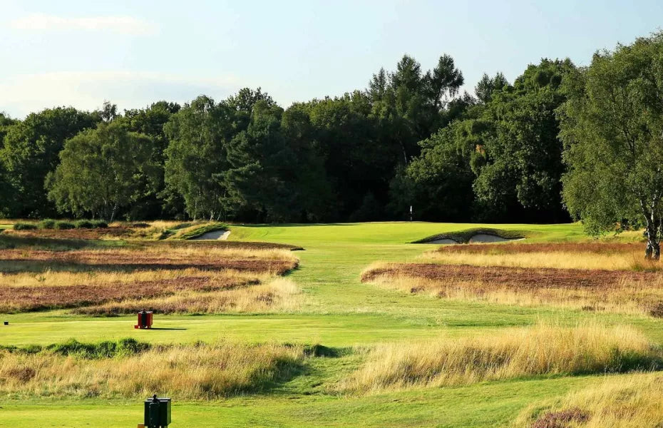 Heathland Gems Worth Playing